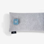 Μαξιλάρι Ζώνης Αυτοκινήτου Bedgear Default Title